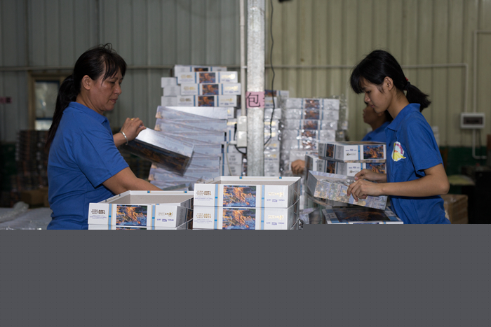 兒童益智拼圖 兒童益智拼圖